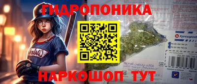 Альфа ПВП Моздок