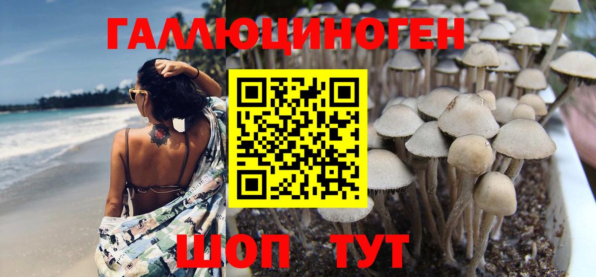Псилоцибиновые грибы Magic Shrooms Шатура