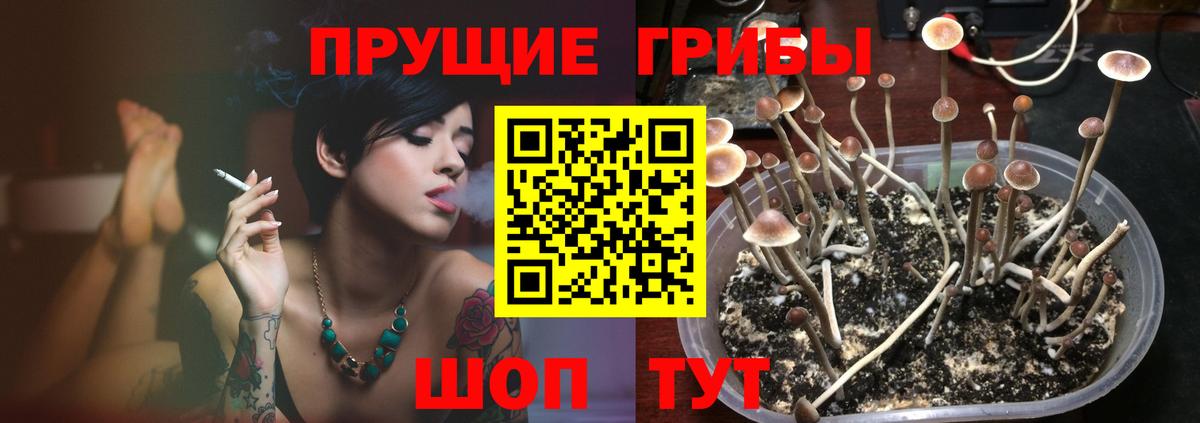магазин    Псилоцибиновые грибы мицелий  Вход с VPN  Шатура 